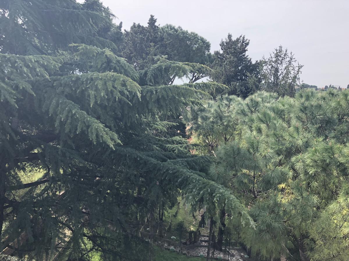 Suite Colosseo Apt. Roma Dış mekan fotoğraf